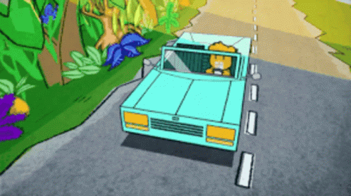 Stay In Your Lane Bear Driving GIF