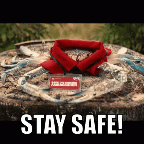 Stay Safe Crab With Clothes GIF