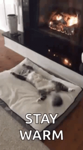 Stay Warm Cat Sleeping Beside Fireplace GIF