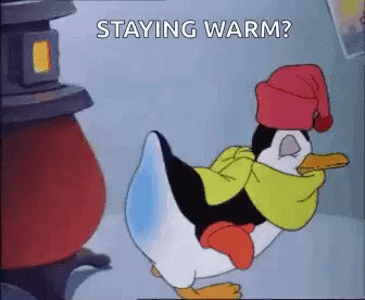Stay Warm Pablo Cold Blooded Penguin GIF