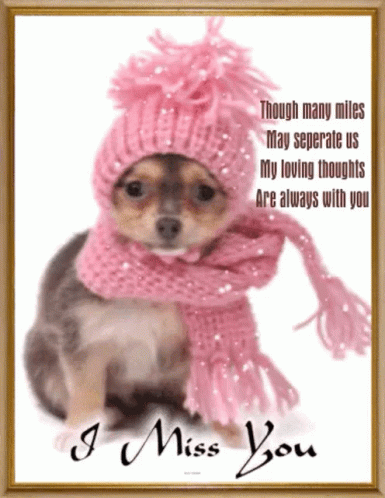 Stay Warm 385 X 498 Gif GIF