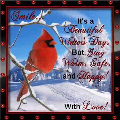 Stay Warm Safe And Happy GIF