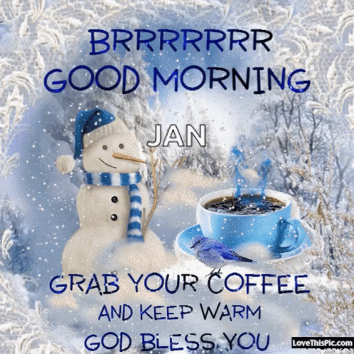 Stay Warm 498 X 498 Gif GIF