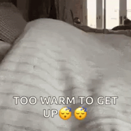 Stay Warm Sleepy Dog GIF