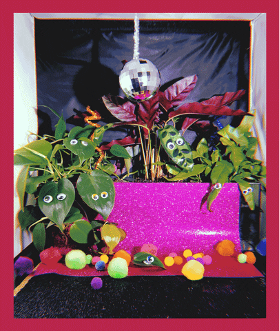 Stayin Alive Different Plants With Eyes GIF