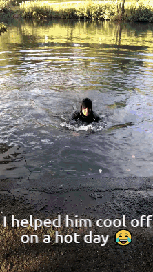 Staying Cool By Swimming In The Lake GIF