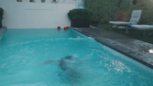 Staying Cool In The Pool With Zeus Conin GIF