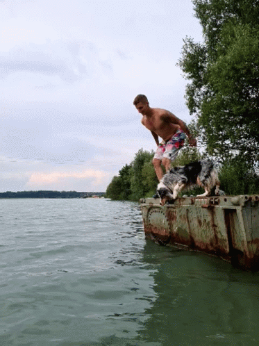 Staying Cool With My Dog In The Beach GIF