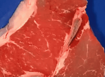 Steak Mistake Frustrated Lady GIF