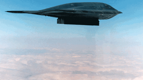 Stealth Bomber Flying With Two Stuffed Animals Attached