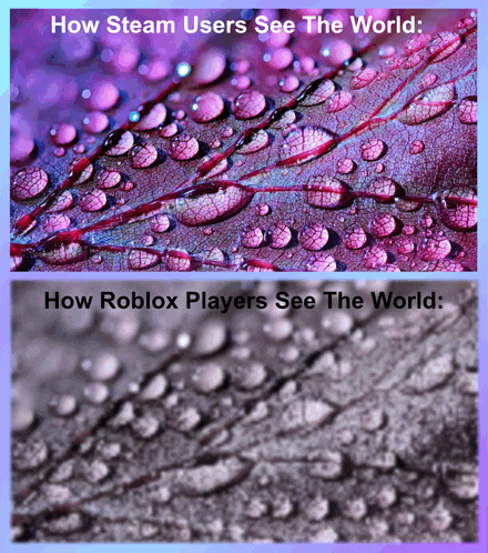 Steam Vs Roblox The World Meme GIF