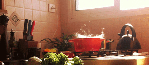 Steaming Hot Red Pot Cooking GIF