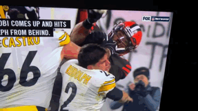 Steelers Fighting With Opponent GIF