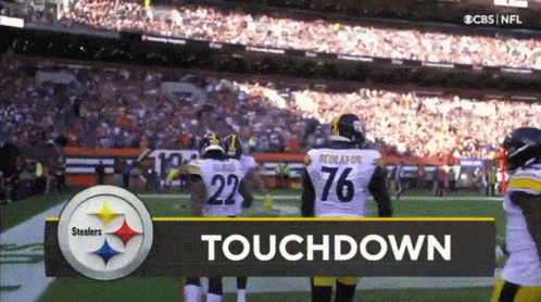 Steelers Vs Browns Football Touchdown GIF