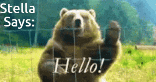 Stella Grizzly Bear Waving Hello GIF