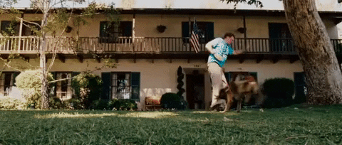 Step Brothers Dog Attack GIF