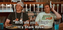 Step Brothers Interview Dale And Brennan Shark Week GIF
