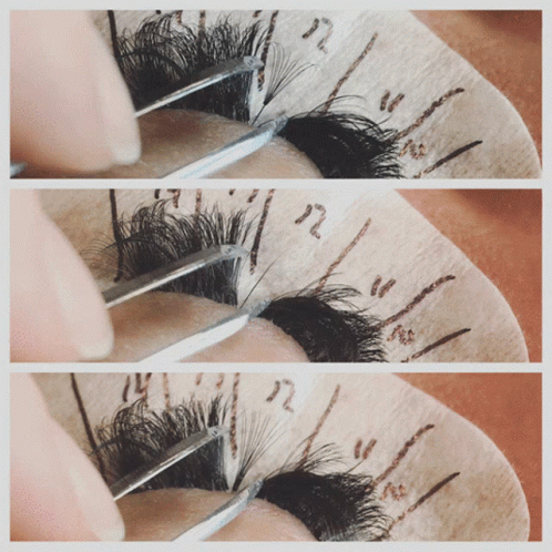 Steps For Eyelashes Extension GIF