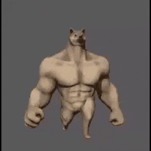 Steroids Buff Muscle Doge GIF