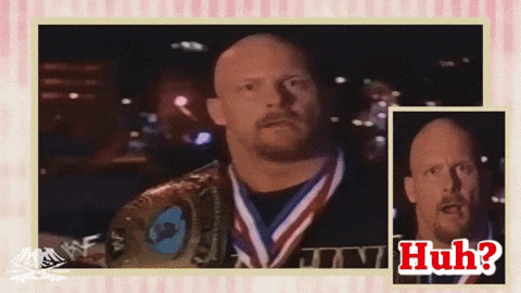 Steve Austin Can You Hear Me Now What GIF