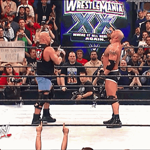 Steve Austin Stone Cold Stunner Wrestlemania GIF