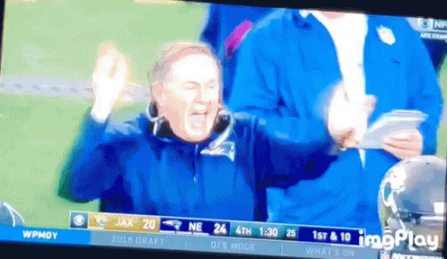 Steve Belichick Gif File 2531kb GIF