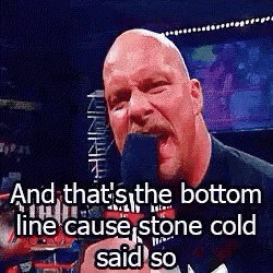 Steve Bottom Line Cause Stone Cold Said So GIF