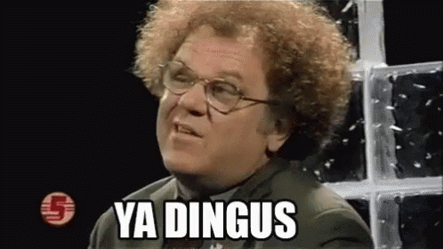 Steve Brule Ya Dingus Phrase GIF