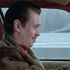 Steve Buscemi Driving GIF