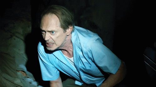 Steve Buscemi Hubie Halloween GIF