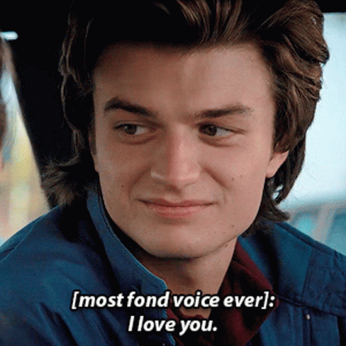Steve Harrington I Love You GIF
