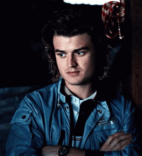 Steve Harrington Nod Serious GIF