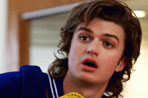Steve Harrington Shocked Reaction GIF