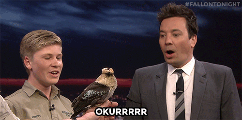 Steve Irwin 500 X 247 Gif GIF