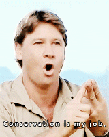 Steve Irwin Conservation Is My Job GIF