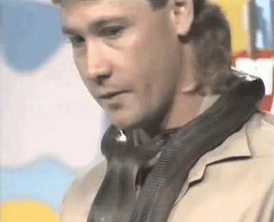 Steve Irwin Getting Bitten By Snake GIF
