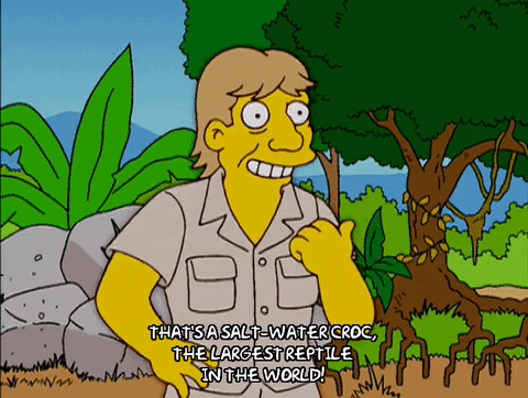 Steve Irwin On The Simpsons GIF