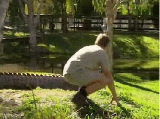 Steve Irwin With Crocodile GIF