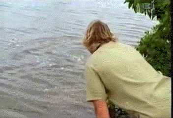Steve Irwin World GIF
