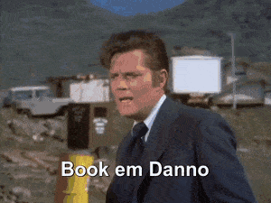 Steve Mc Garett Book It Danno GIF