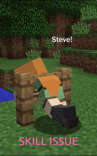 Steve Minecraft Skill Issue GIF