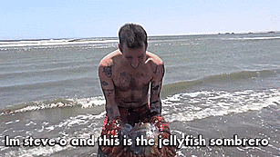 Steve-o Jellyfish Sombrero GIF