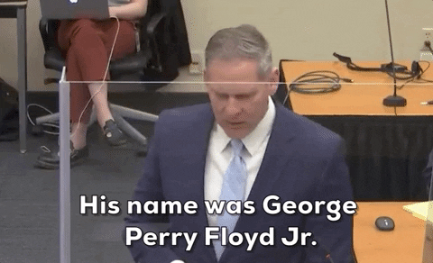 Steve Schleicher His Name Was George Floyd GIF