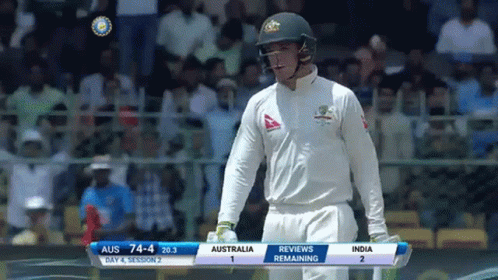 Steve Smith Australia Cricket Team Captain GIF
