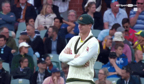 Steve Smith Cricket Disappointed Reaction GIF