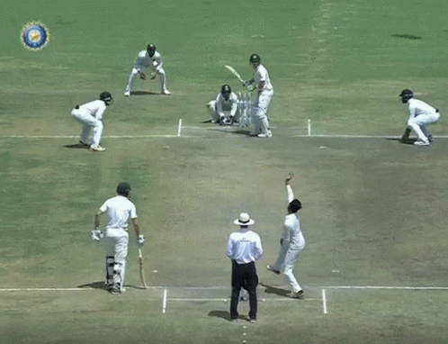 Steve Smith Fish Mouth Ravindra Jadeja GIF