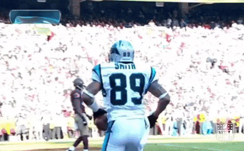 Steve Smith Football Touchdown Dance GIF