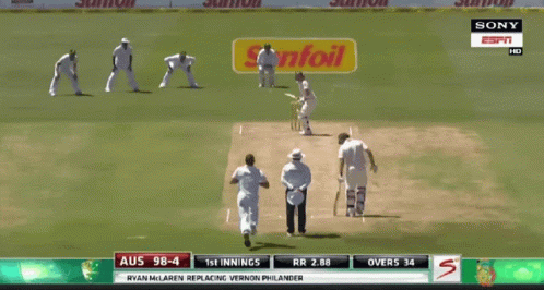 Steve Smith South Africa 2014 Cricket GIF
