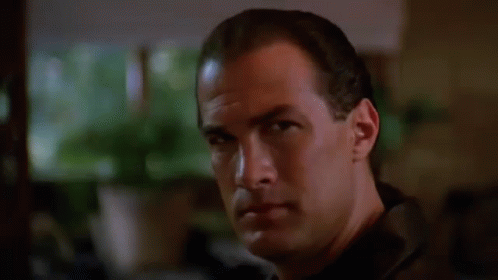 Charismatic Steven Seagal Hard To Kill GIF