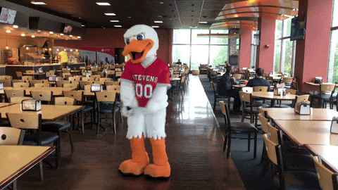 Stevens Institute Duck Mascot Dance GIF